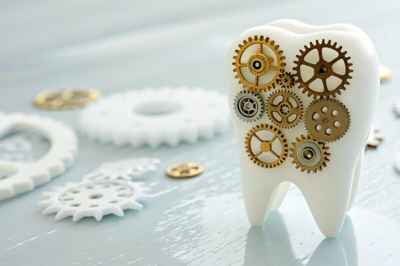 Wisdom Teeth Removal Cost Without Insurance: Your Complete Guide