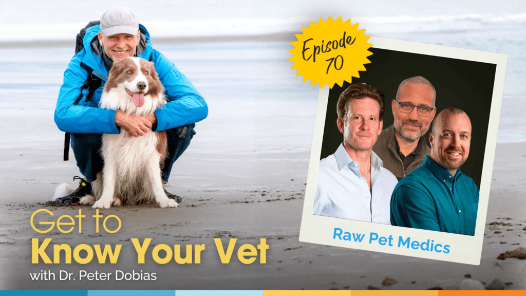 Get to Know Your Vet with Dr. Nick Thompson, Dr. Conor Brady, and Dr. – Dr. Dobias Worldwide